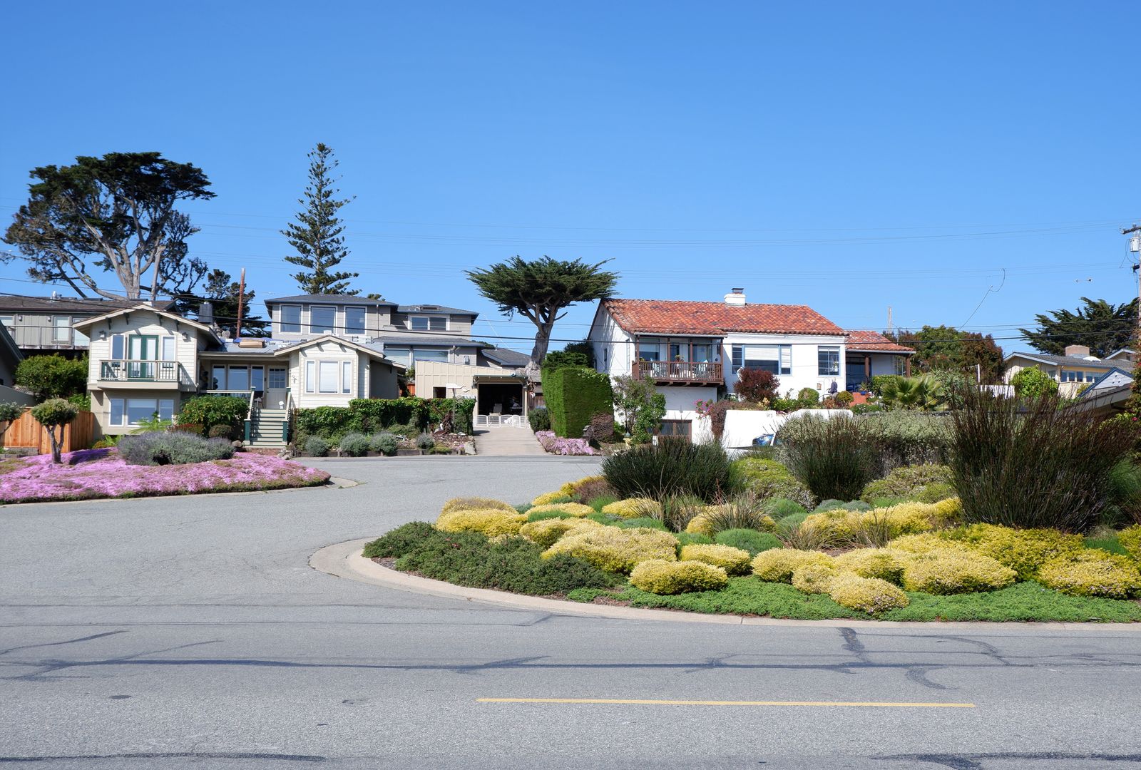 Residential lawns and planting edges along a neighborhood street